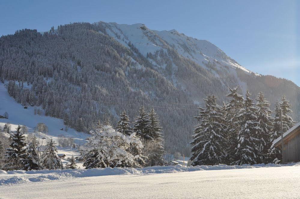 Alpenchalet Weidhaus Gstaad: Versatile Alpine Lodging Options Exterior photo