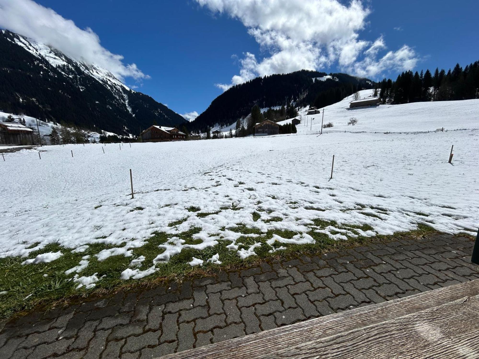 Alpenchalet Weidhaus Gstaad: Versatile Alpine Lodging Options Exterior photo