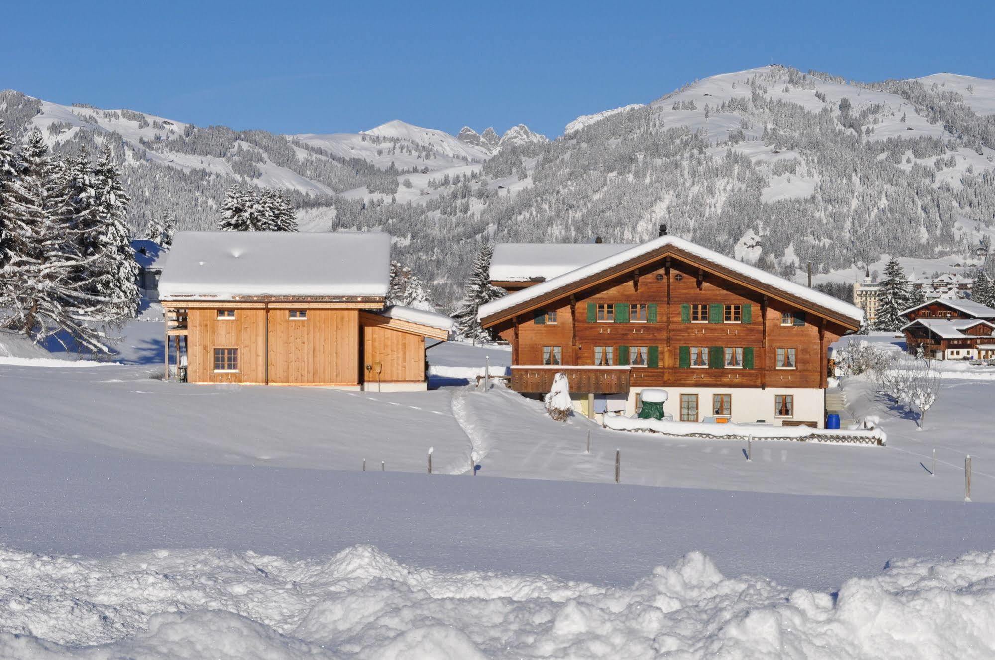Alpenchalet Weidhaus Gstaad: Versatile Alpine Lodging Options Exterior photo